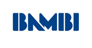 bnmbi logo